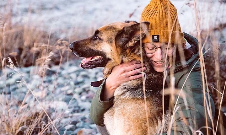 Dog Sitting in the USA - On the original US Pet Sitting site - Feel the love