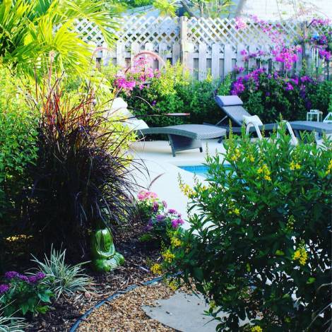 garden with plants surrounding pool