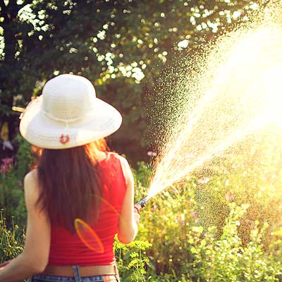 Garden maintenance