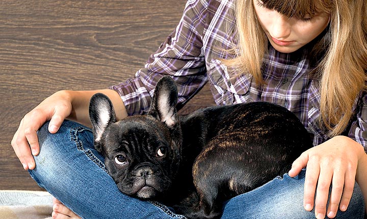 House Sitters UK - Pet Sitting and House Sitting in the UK