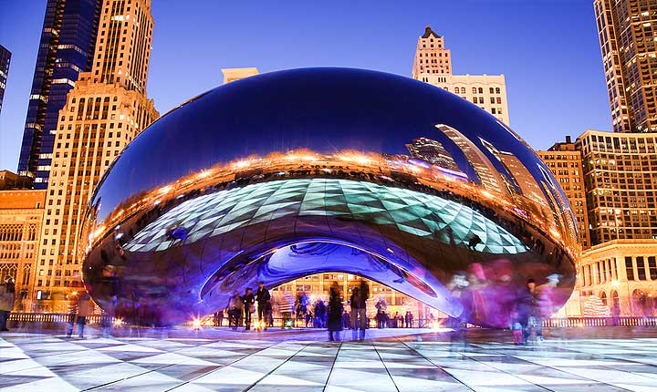 House sitting and Pet Sitting in Chicago, Illinois - a fantastic, alternative to dog boarding.