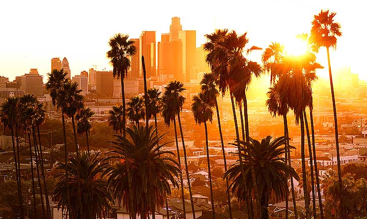 House sitting and Pet Sitting in Los Angeles - the perfect in-home alternative to dog boarding