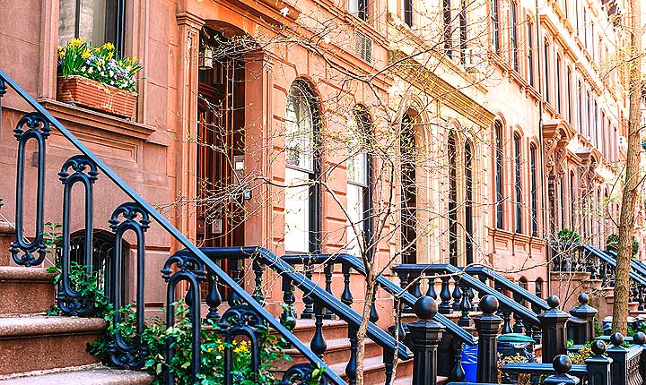 House sitting and Pet Sitting in New York - the perfect in-home alternative to dog boarding in NYC