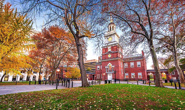 House sitting and Pet Sitting in Philadelphia - the perfect in-home alternative to dog boarding