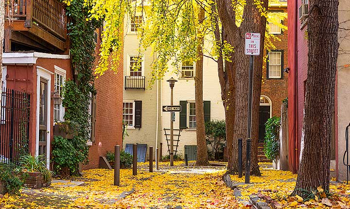 House and Pet Sitting in Philadelphia - A wonderful alternative to pet boarding.