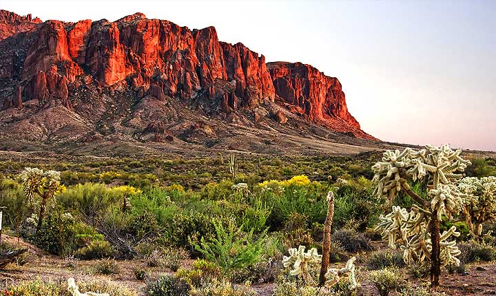 House sitting and Pet Sitting in Phoenix - the perfect alternative to pet boarding