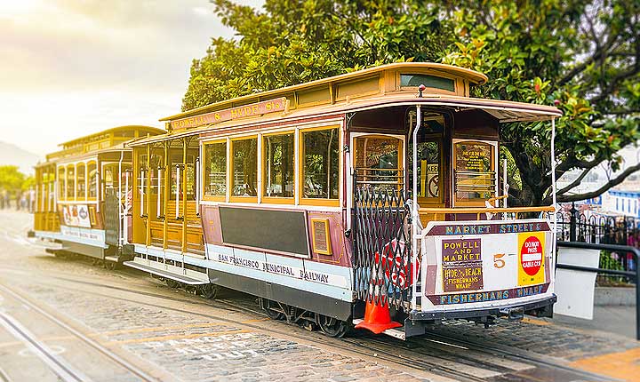 House sitting and Pet Sitting in San Francisco - the ideal alternative to dog boarding in the city by the bay