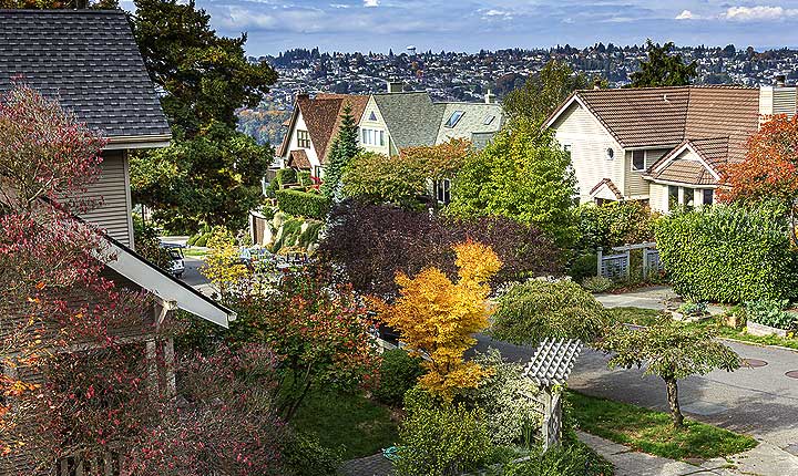 House sitting and Pet Sitting in Seattle - the perfect alternative to dog boarding right across Seattle