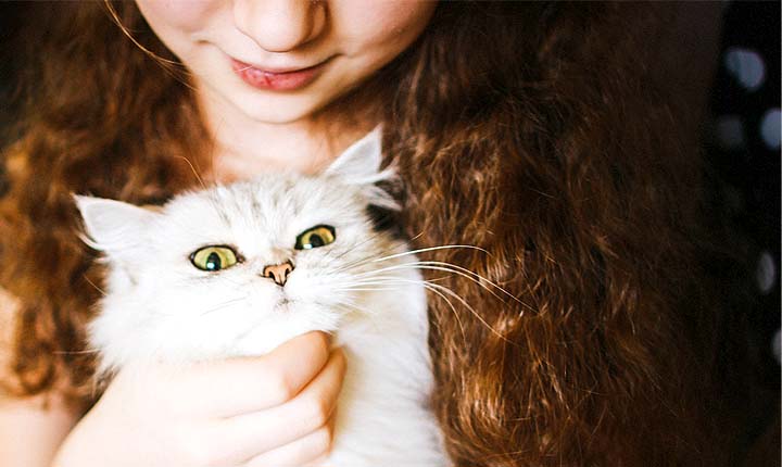 Pet Sitting in Los Angeles - The original US Pet Sitting site
