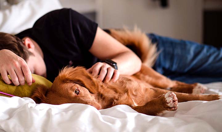 Dog Sitting in San Diego - The original US Pet Sitting site - Feel the love