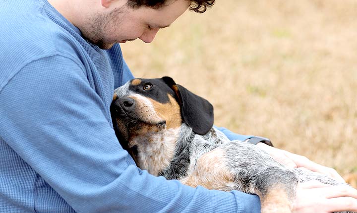 Dog Sitting in Seattle - On the original US Pet Sitting site - Feel the love