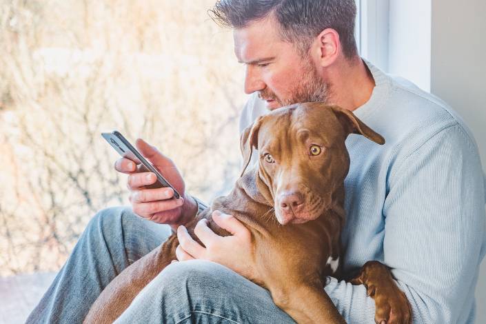 House sitter in long sleeved shirt and jeans holding a dog while looking at their phone