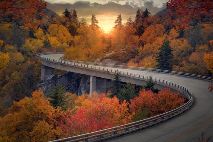 a winding road through fall trees coloured orange, red, and brown